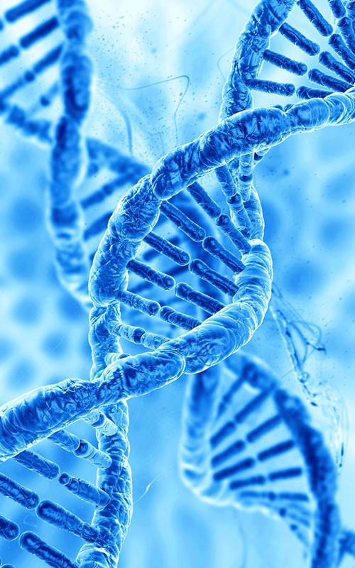 PDRN(Polydeoxyribonuclaitíd)